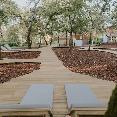 Luz Charming Kır Evi