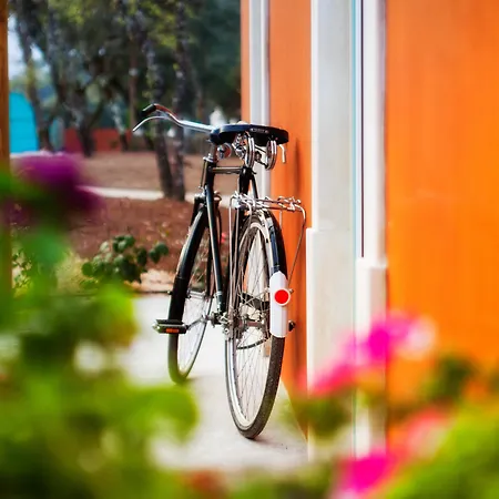 Luz Charming בית כפרי *