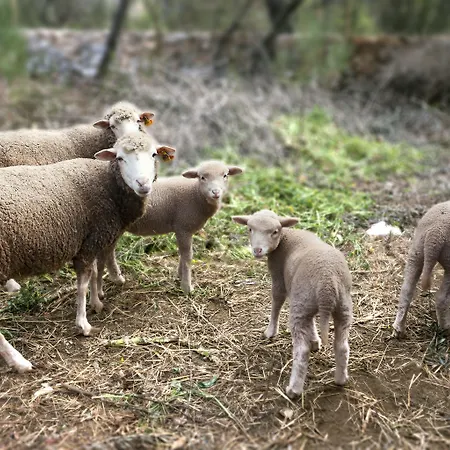 Εξοχικό σπίτι Luz Charming *