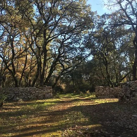 בית כפרי Luz Charming *