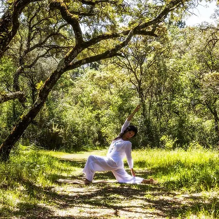 Luz Charming Kır Evi