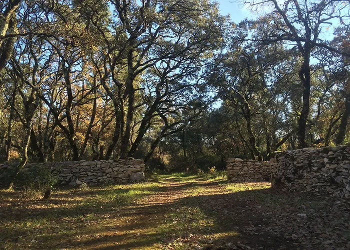 Casa rural Luz Charming *